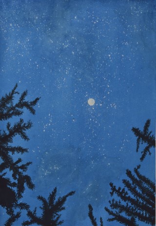 Noche estrellada en Tandil