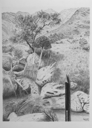 Descubriendo cortaderas