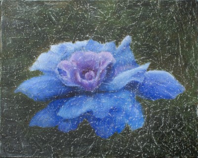 Frágil adolescencia