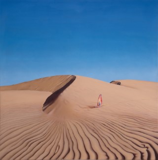 Surfeando tribunales