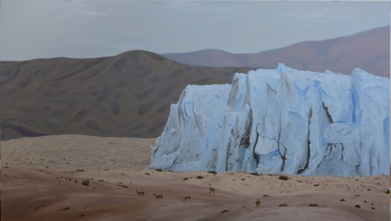 La Puna del Calafate