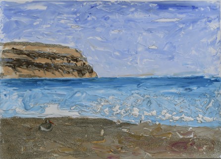 Descanso patagónico